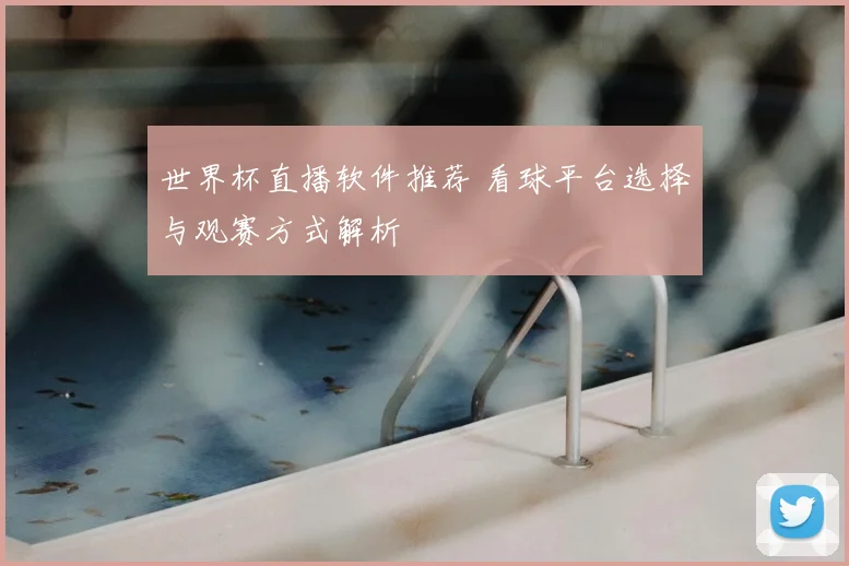 世界杯直播软件推荐 看球平台选择与观赛方式解析