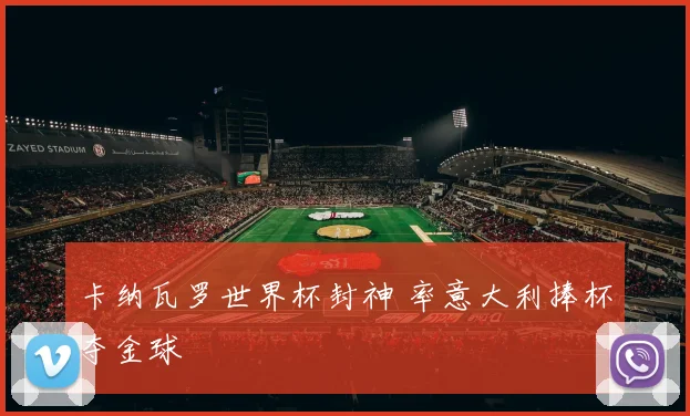 卡纳瓦罗世界杯封神 率意大利捧杯夺金球