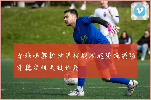 李玮峰解析世界杯战术趋势强调防守稳定性关键作用